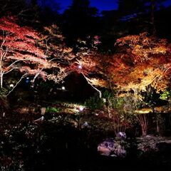 写真を撮るのが好き､見るのが好きな人の募集📷 - 長岡市