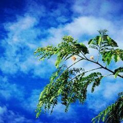 写真を撮るのが好き､見るのが好きな人の募集📷 - 友達