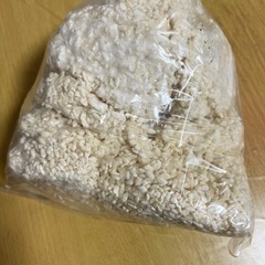 麹の良さを知ろう💡