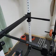 引取限定　アイロテック製パワーラック　ラットマシン付の画像