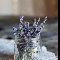 スワッグの材料または花瓶にさせるような素材の画像