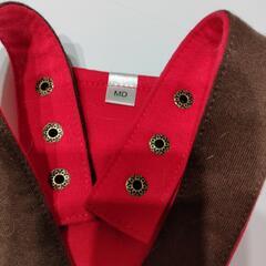 ペッツワン　プーさん　ミニチュアダックスの画像