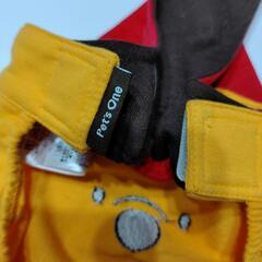 ペッツワン　プーさん　ミニチュアダックスの画像