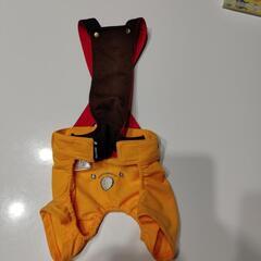 ペッツワン　プーさん　ミニチュアダックスの画像