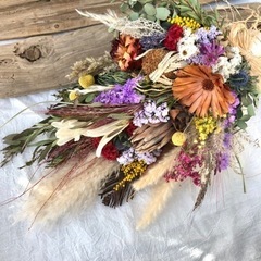 パンパスグラス　pgaの画像