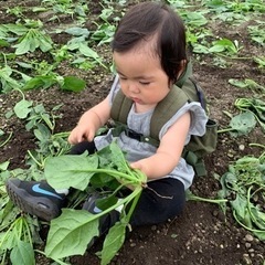 土の香りが好きなあなた！の画像