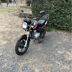 201. 動画あり　ホンダ　CBF125 小型　バイク　125c...