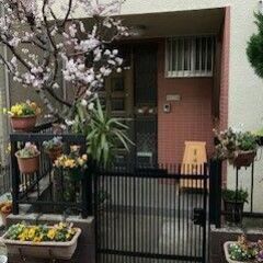 筆友　美文字講座の画像