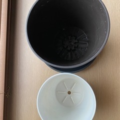 プラスチックポット　植木鉢　受け皿　セットの画像