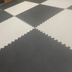 格闘技マットの画像