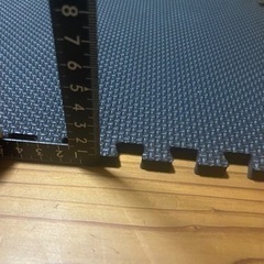 格闘技マットの画像