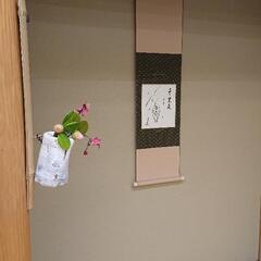 表千家茶道教室生徒募集案内の画像