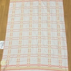 電気毛布 300円の画像