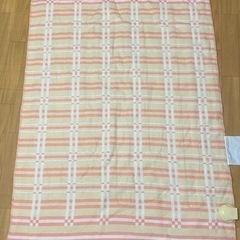 電気毛布 300円の画像