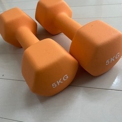 5キロダンベル2本