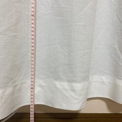 カーテン　緑の画像