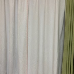 カーテン　緑の画像