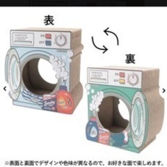 猫。爪研ぎ洗濯機。お皿。