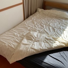 【ニトリ】薄掛けふとん　シングルサイズの画像