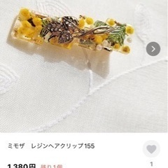 ミモザ　葉gdaの画像
