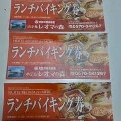 【本日のみお値下げします】レオマワールド  バイキング