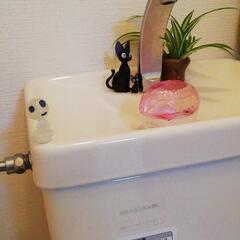 オリズルランの鉢植え(画像更新しました)