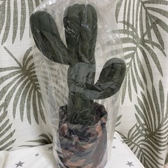 新品✨サボテンドアストッパー✨の画像