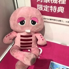 明日桐生市南公園📷