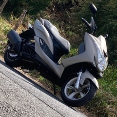 マジェスティSの画像