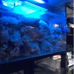オーバーフロー水槽、アクリル水槽、120オーバーフロー水槽セット、