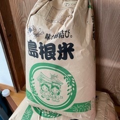 コシヒカリ🌾(決まりました)