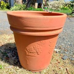 ✨大型植木鉢各種✨の画像