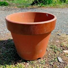 ✨大型植木鉢各種✨の画像