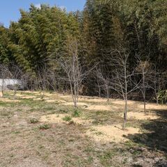 広大な土地で田舎暮らし♪　■栃木市 梅沢町■中古戸建て - 不動産