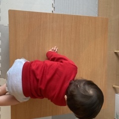 コタツ机貰ってくださいの画像