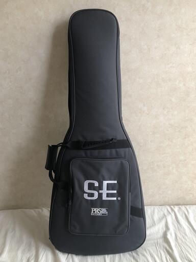 Paul Reed Smith (PRS) SE Custom 22
