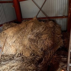 むしろ？  藁の画像