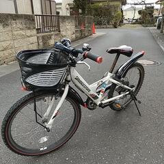 ブリジストン２２インチ