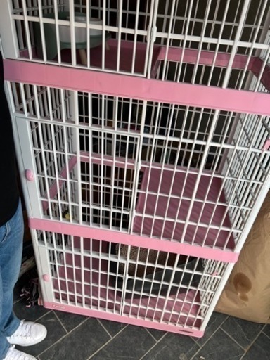 お話中　アイリスオーヤマ プラケージ 813 ピンク【猫】