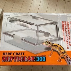 レプギア300