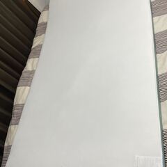 トゥルースリーパー セロ ライト3.5 シングル & 新品カバー付きの画像