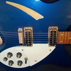 【商談成立】Rickenbacker 330　MID 　エフェクター　セットの画像