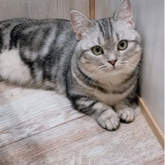 メンバー募集します🥺