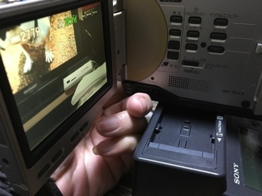 ナイトショット規制前の型番です。ミニDVタイプ