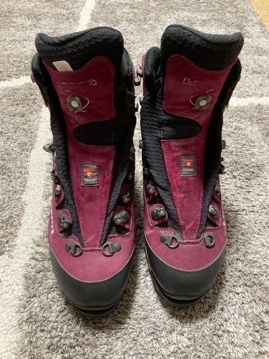 LOWA マウンテンエキスパートGTX EVO