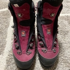 LOWA マウンテンエキスパートGTX EVO 
