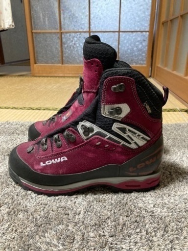 LOWA マウンテンエキスパートGTX EVO 