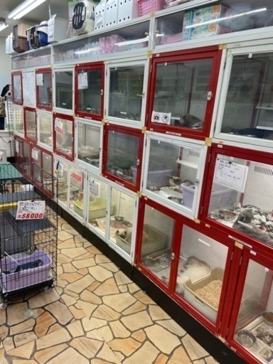 小動物用ゲージ　爬虫類用ゲージ　犬舎  ゲージ