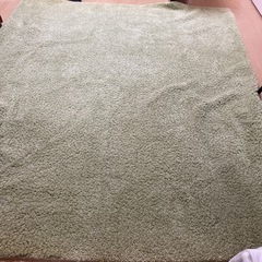 アースカラーのラグ（緑）フランフラン