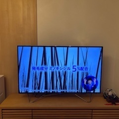 49インチ HDD内蔵 フナイテレビ